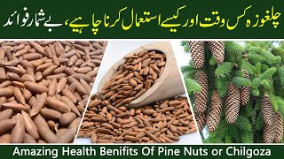 Chilgoza (Pine Nut) Dry Fruit Health Benefits | Incredible Reasons to Eat Pine Nuts Daily