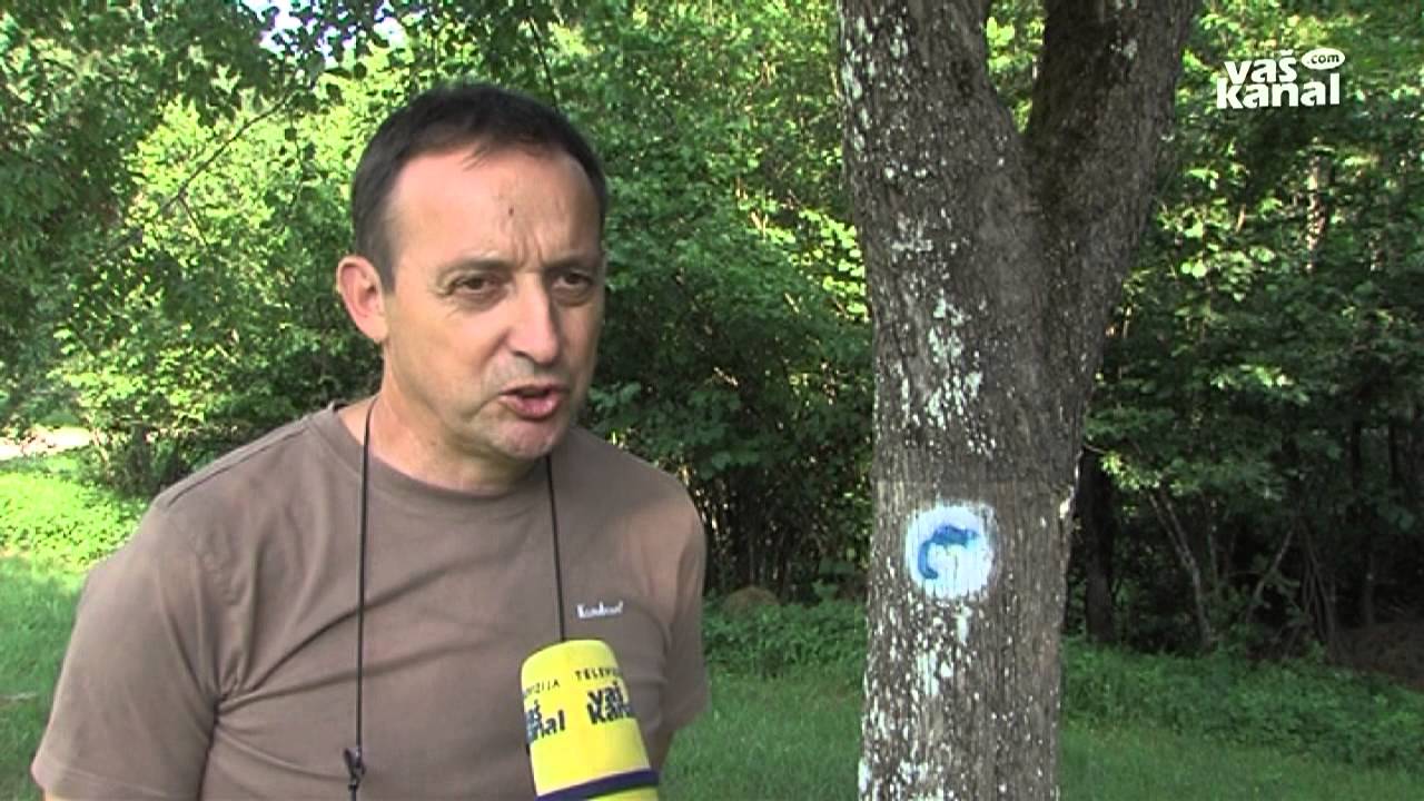 Namig za izlet: Polharska pot