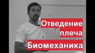 Отведение плеча. Биомеханика. Разбор мышц движения. Александр Пилюгин. Отведение плеча. Биомеханика. Разбор мышц движения. Александр Пилюгин.