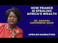 Dr. Arikana Chihombori | How France Is Stealing Africa's Wealth | Colonisation Never Stopped!