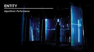 ENTITY | Algorithmic Performance