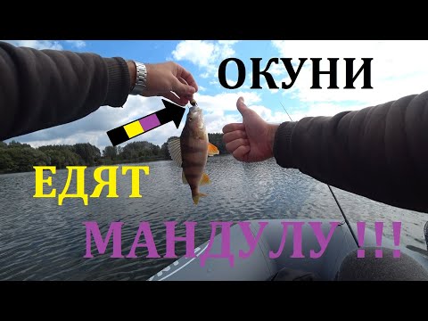 НЕ ВЕРИЛ, что
