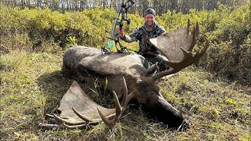 70" GIANT WITH A BOW / Archery Moose Hunt - Stuck N The Rut 215