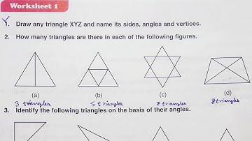 Dav Class 6 Math Chapter 12 worksheet 1  || Triangles || Properties Of Triangle ||