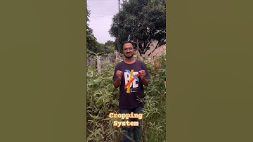 Agri Concepts from Field !! Cropping System !! #nabard #ibpsafo #ard