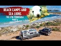 BOGGED IN THE DUNES & SWIMMING WITH SEALS - THE EYRE PENINSULA - PART 3 | Arno Bay to Port Lincoln