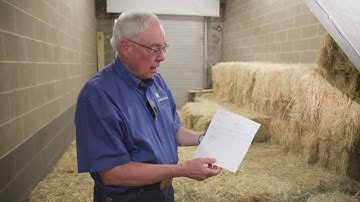 Understanding Hay Analysis for Horse Nutrition
