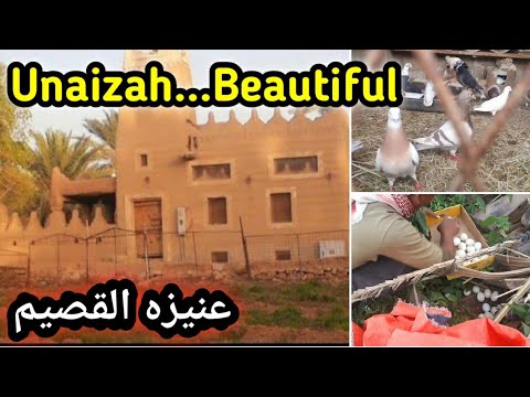   عنیزہ جمیل   حائط حركان