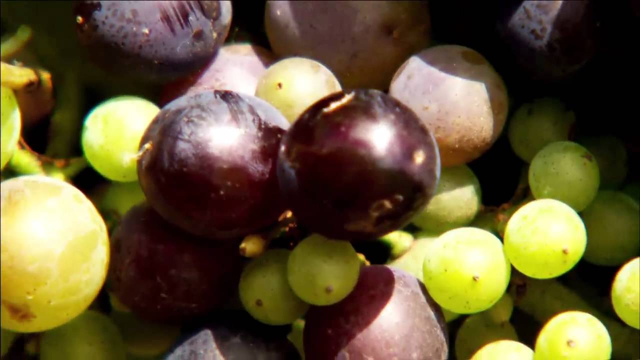 إيرث رايز - تغير في اتجاه الرياح