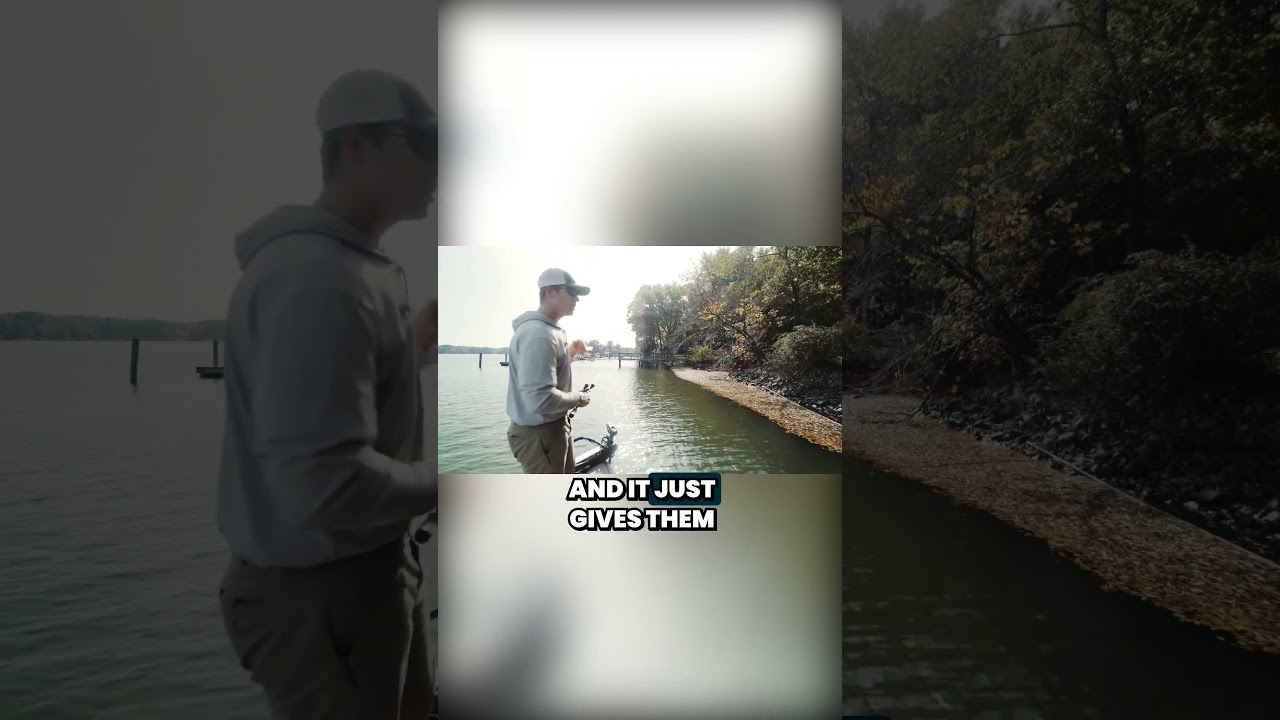 Paddle Tail Swimbaits in the fall w/ Patrick Walters