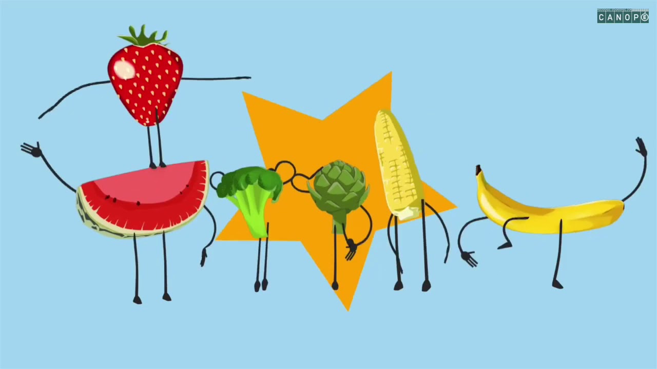 évaluation Svt 6ème Conservation Des Aliments