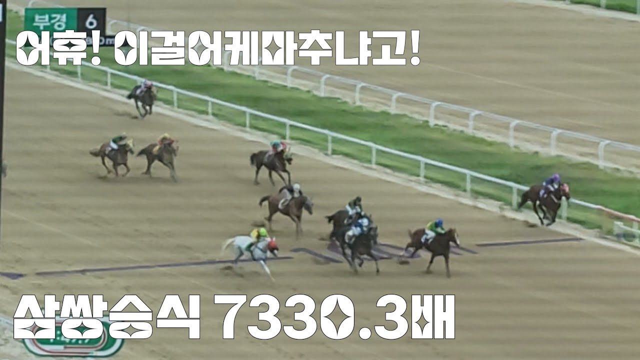 부산경마 월초부터 난리났네~