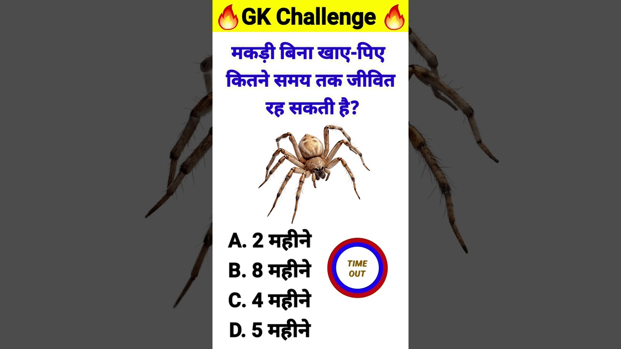 How Long Can a Spider Live Without Food & Water? 🕷️ | GK Question