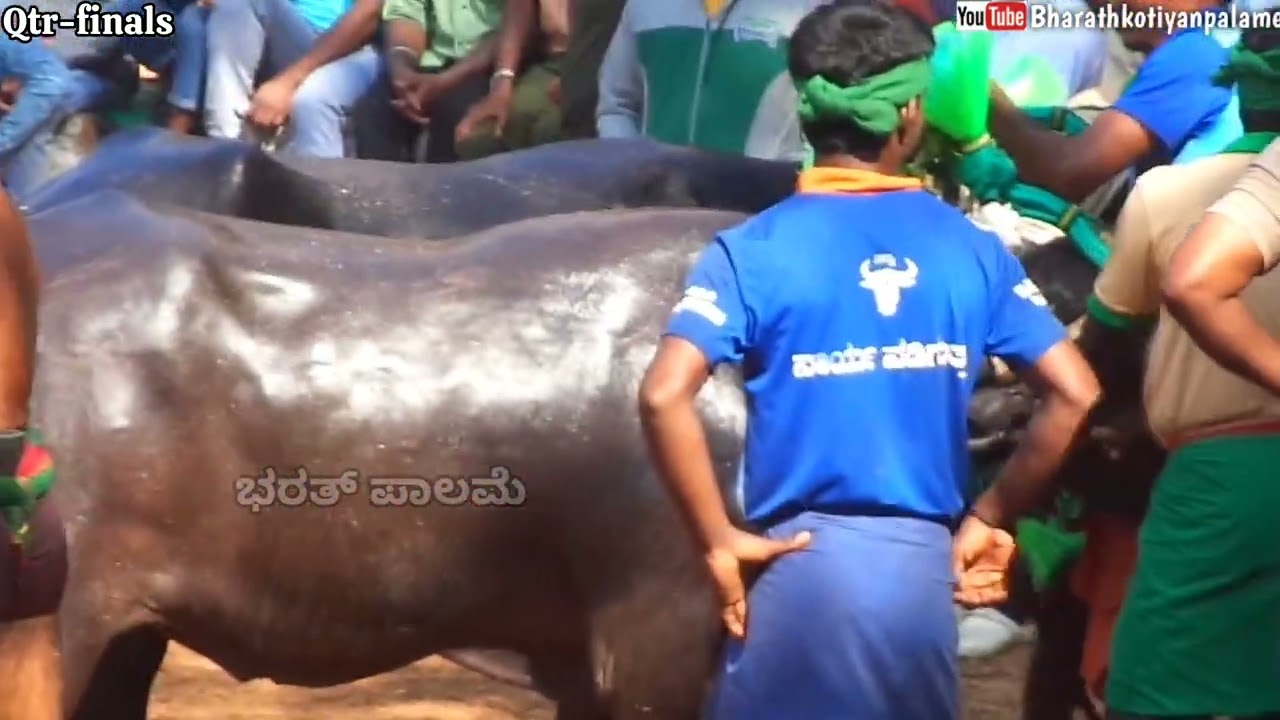 Baradi Beedu kambala 2025-26 Pre-qtr-finals To Finals (13,14 Dec 2025)#kambala #udupi #manglore
