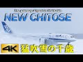 【4K 60P】猛吹雪の新千歳空港 New Chitose Airport in a blizzard　2021 Special Spotting