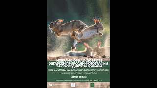 Избрано от най-добрите унгарски природни фотографии за последните 30 години