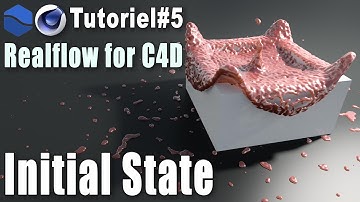 Realflow for C4d - TUTORIAL # 5 - Initial state & Particules Interaction
