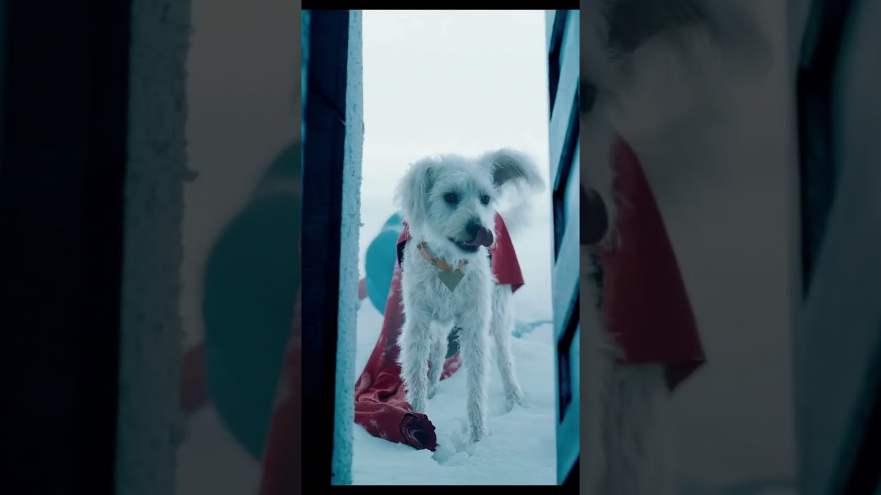 DC’s Superman 2025 🔥 | Everything We Know About the New Movie!