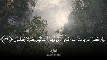 وَوَصَّيْنَا الْإِنْسَانَ بِوَالِدَيْهِ إِحْسَانًا - من سورة الأحقاف - للقارئ : أحمد أبو العينين