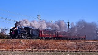 【C58 363】秩父鉄道SL初詣号【日章旗】20190101