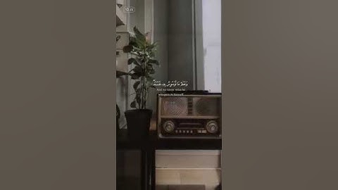 سورة ق ، الشيخ القارئ محمد صديق المنشاوي