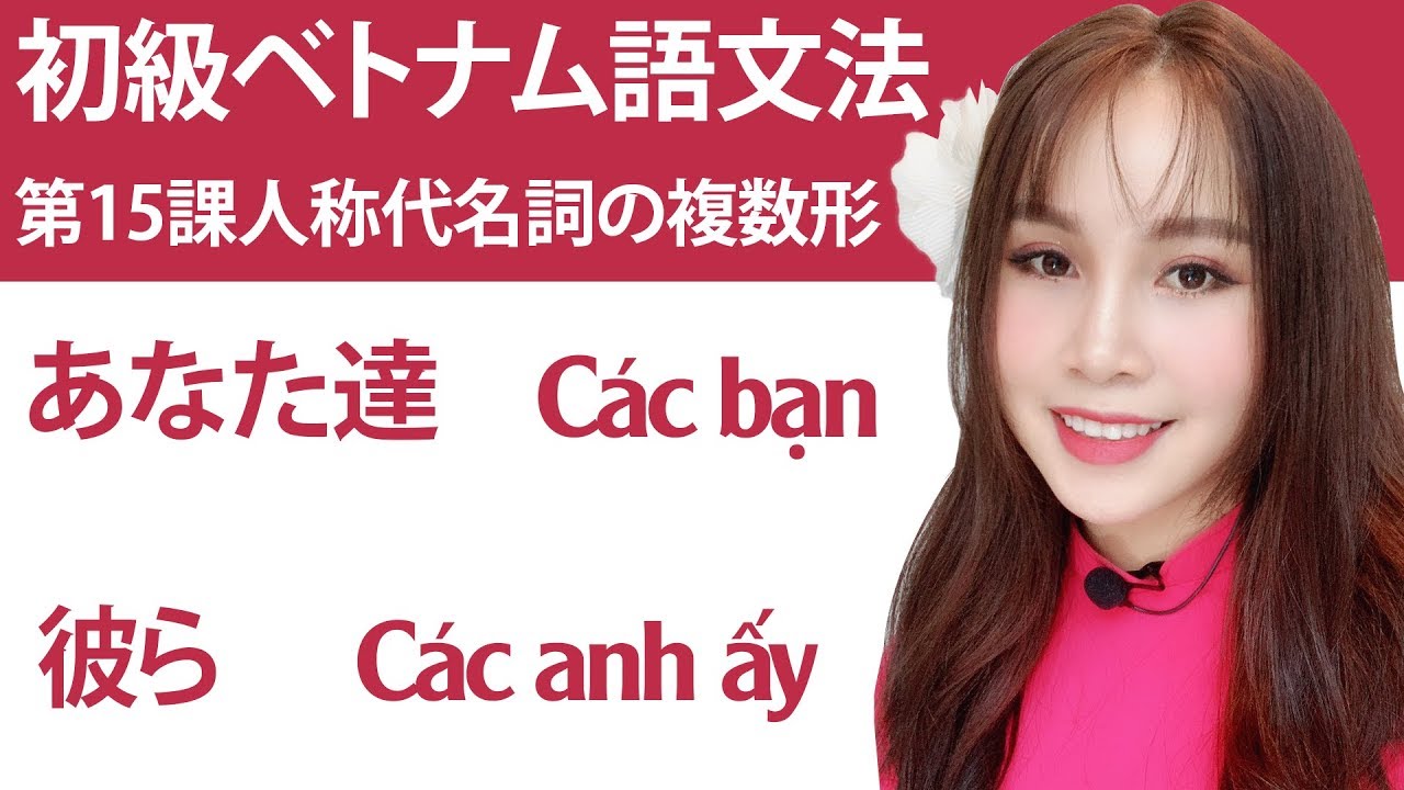 初級ベトナム語文法第15課 ：「人称代名詞の複数形」「私たち」「あなたたち」「彼ら」「彼女たち」「彼らは医者ですか?」「 Các anh ấy có phải là bác sĩ không ?」