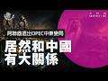 E236 戏剧反转! 阿联酋退欧佩克全解读 : 王储访华15天后倒戈,原来豪华访华是补偿?| 透明茶室 • 分析线 | 石油人民币 | 货币互换 | 沙特 | 习近平 | 贝森特
