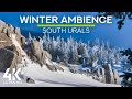 8 HOURS Winter Ambience (4K UHD) - Soothing Sounds of Wind and Falling Snow for Deep Relaxation