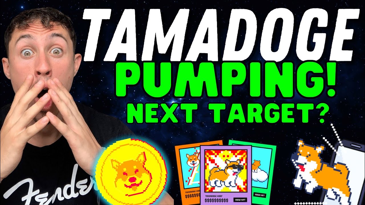 Tamadoge Price Prediction - Will TAMA 10x After Teasing Top 5