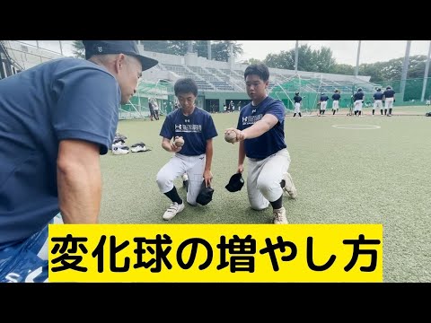 野球ピッチャー上達革命 楽天市場】【交換往復送料無料】 野球 キャッチャーミット 少年