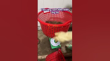 Giao tôm tươi sống tận nơi cho anh Khách cách vựa 20 phút, quá ngon #tomthiennhien