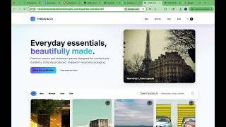 demo for YC hackathon