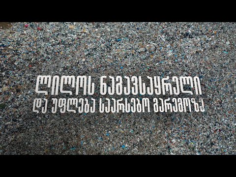 ლილოს ნაგავსაყრელი და უფლება საარსებო გარემოზე