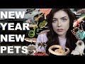NEW YEAR, NEW PETS. (Animal Room Tour. Again)