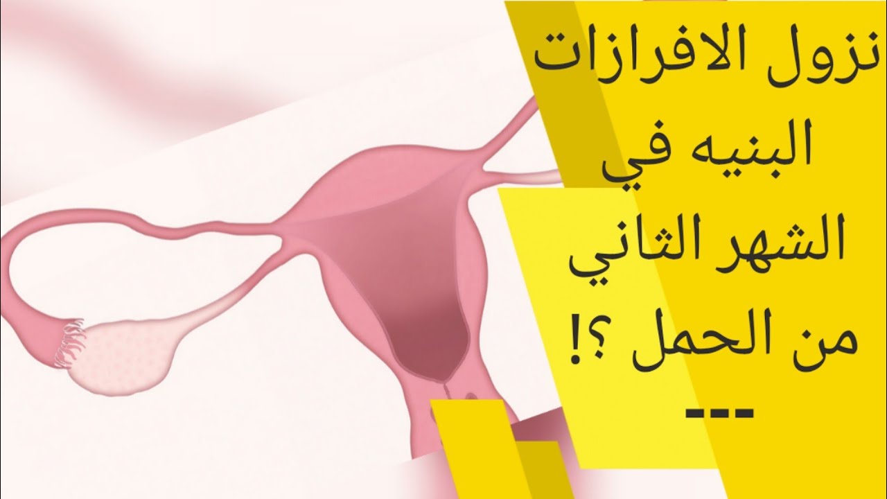 نزول افرازات بنيه اثناء الحمل في الشهر الثاني Ifrazat Boniya Lilhaml Youtube