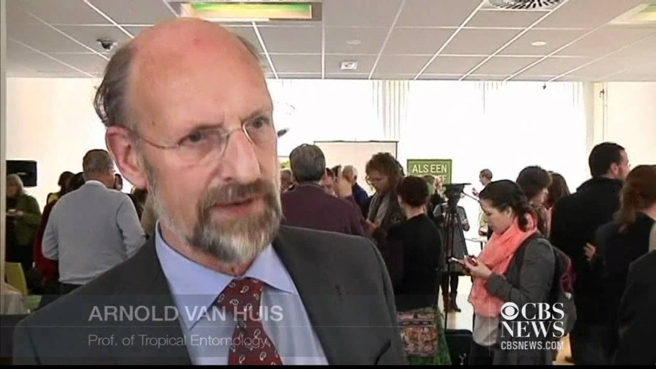 Insect cook book has protein-rich recipes