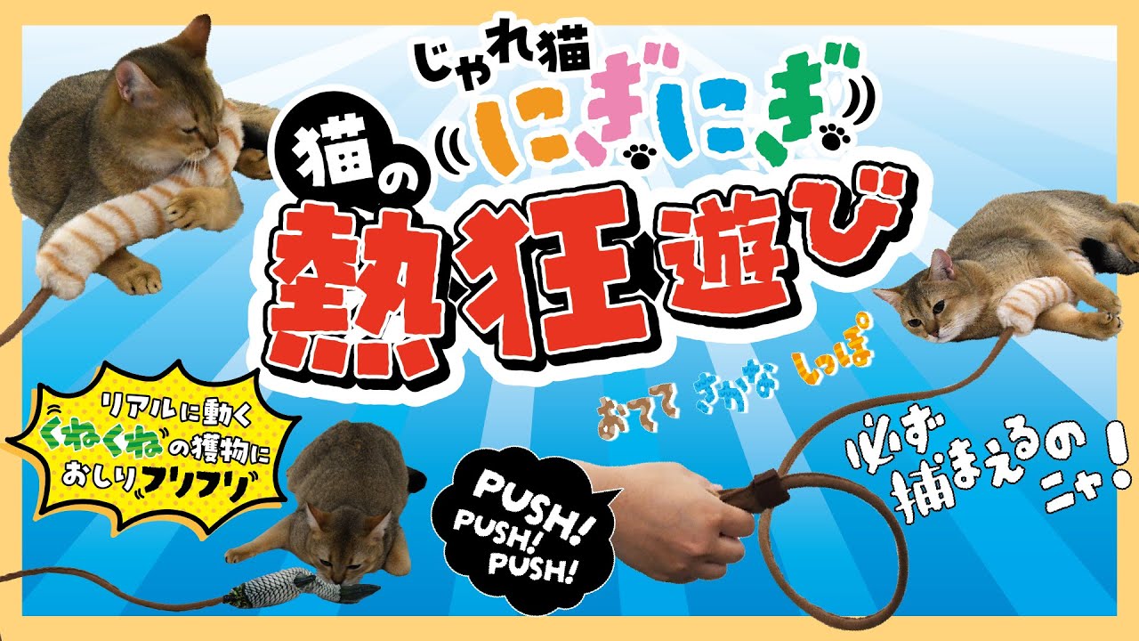 激カワ！猫が夢中になるクネクネおもちゃ！【じゃれ猫 にぎにぎ猫の