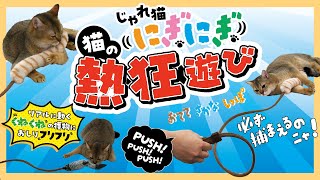 じゃれねこ『12月☆⑥』 mqdefault.jpg