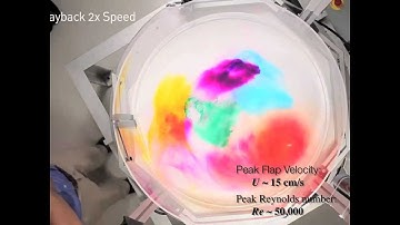 Vortex in a Stationary Tank (Silent)