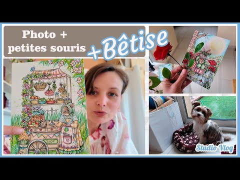 Photo, petites souris