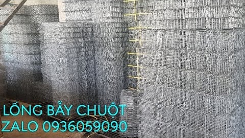 Cung cấp lồng bẫy chuột đồng. Lồng bẫy chuột đường mòn. ồng bẫy chuột không cần mồi.