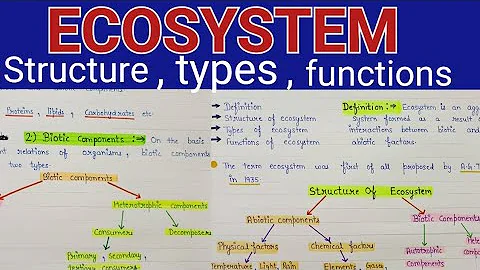 Ecosystem structure and functions | Ecosystem structure | ecosystem structure and functions notes - DayDayNews