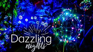 Immerse Yourself in the Beauty of Dazzling Nights at Leu Gardens in Orlando! by Chrissa Travels 18,553 views 5 months ago 8 minutes, 38 seconds