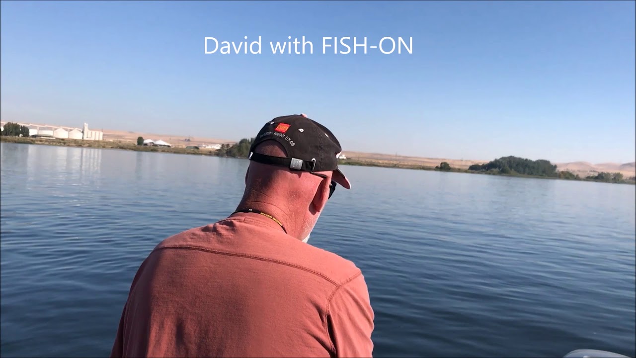 Columbia River UmatillaSalmon YouTube