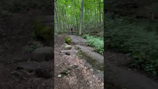Girl on bike rides dirt trail then wheel gets stuck between large rock so she falls and faceplants