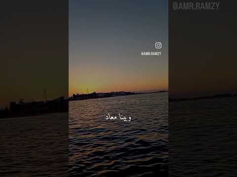 استوري عمرو دياب وبينا معاد  عمرو دياب