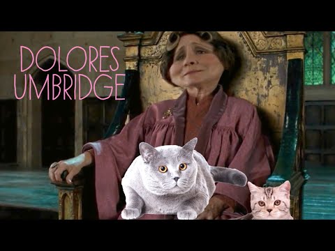 YTP - Dolores