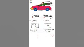 Easiest Differences between Speed and Velocity