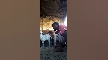 الغربة ان شاءالله تعقري 