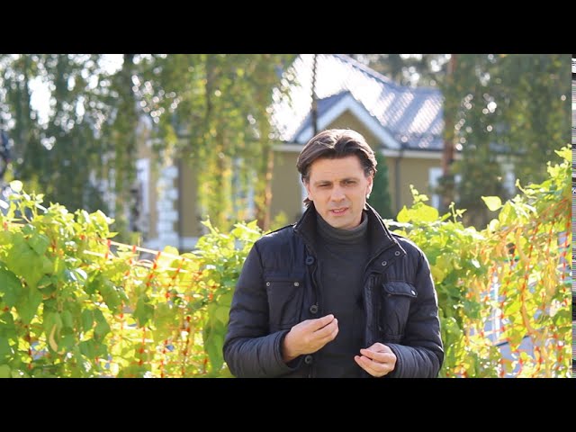 Астено-невротический синдром с головокружениями/Вопросы психотерапевту/Выпуск 91